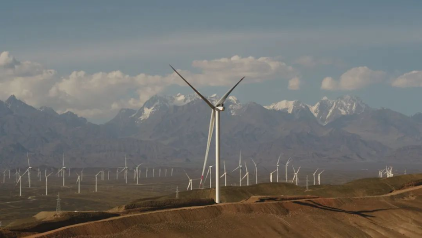 新金宝(中国游)有限公司官网