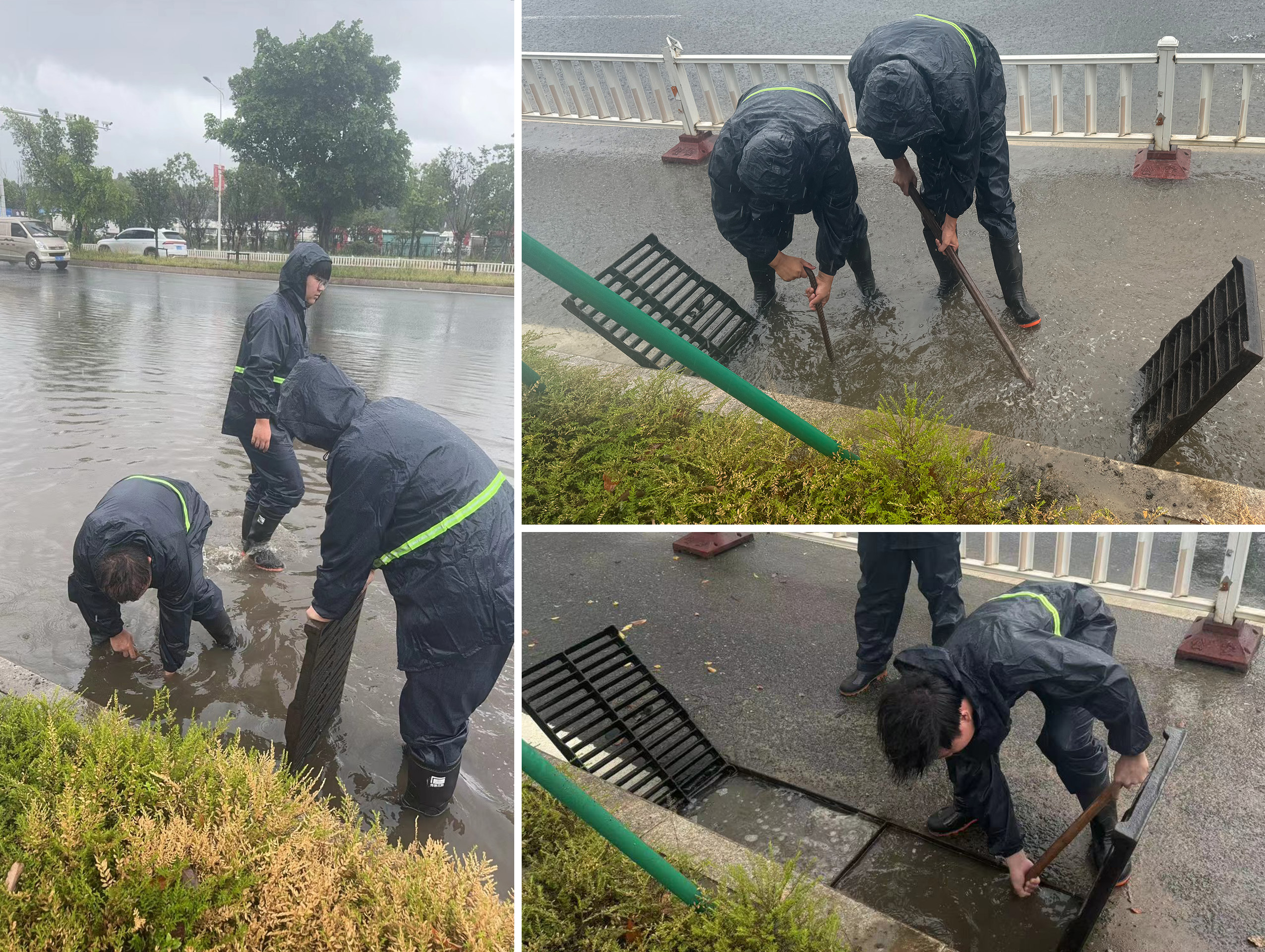 新金宝(中国游)有限公司官网