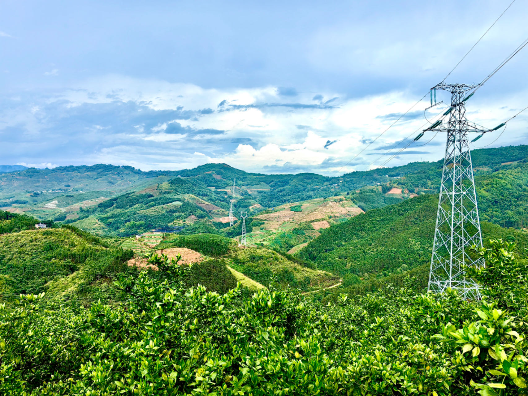 新金宝(中国游)有限公司官网